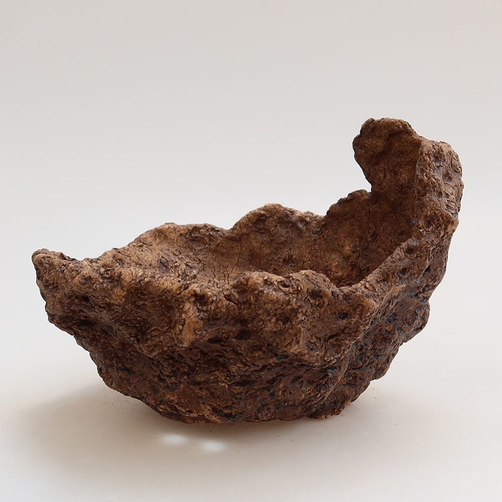 Guscio in ceramica 14,5 x 13 x 12 cm, colore marrone