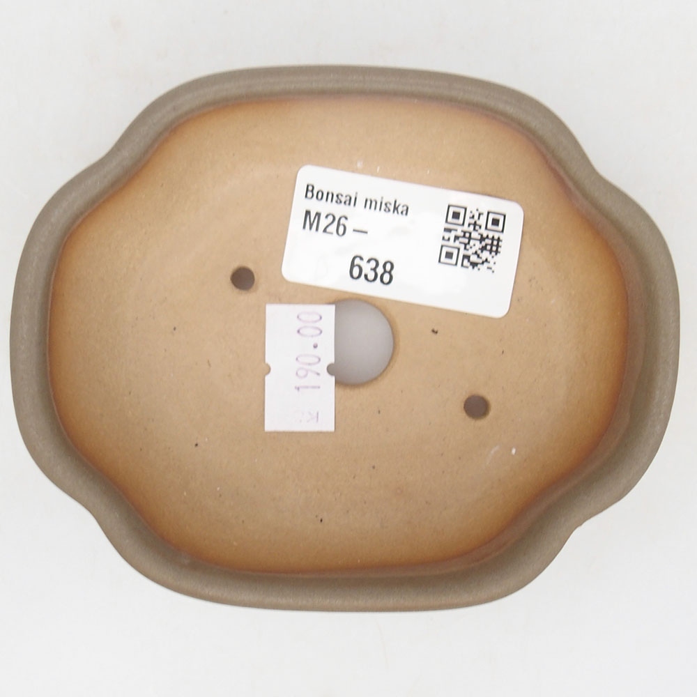 Ciotola per bonsai in ceramica 125 x 10 x 3 cm, marrone