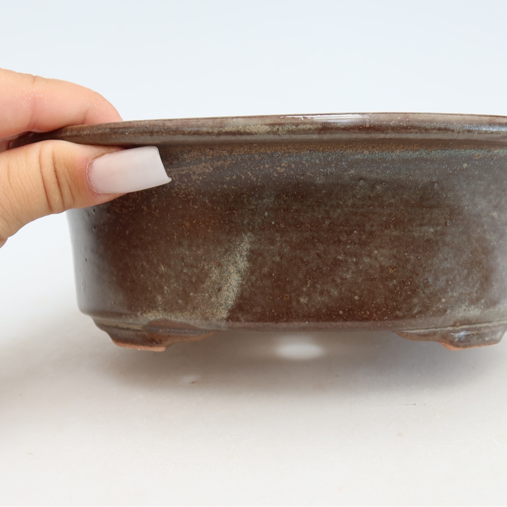 Vaso da bonsai in ceramica 19,5 x 15,5 x 6,5 cm, colore marrone