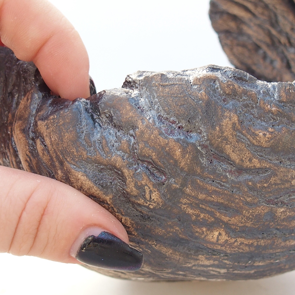 Conchiglia in ceramica 13 x 12,5 x 12,5 cm , colore marrone