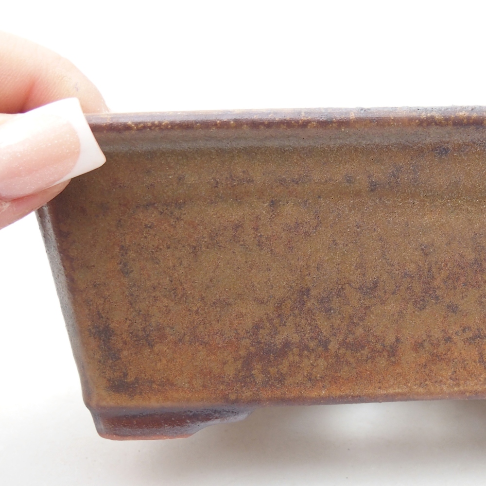 Ciotola per bonsai in ceramica 13,5 x 10 x 5,5 cm, marrone