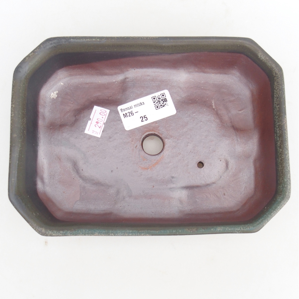 Ciotola bonsai in ceramica 18,5 x 13,5 x 4,5 cm, grigio