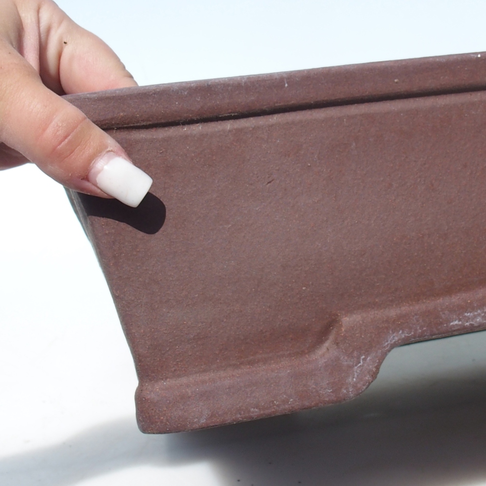 Ciotola bonsai 40 x 32,5 x 10,5 cm betulla marrone