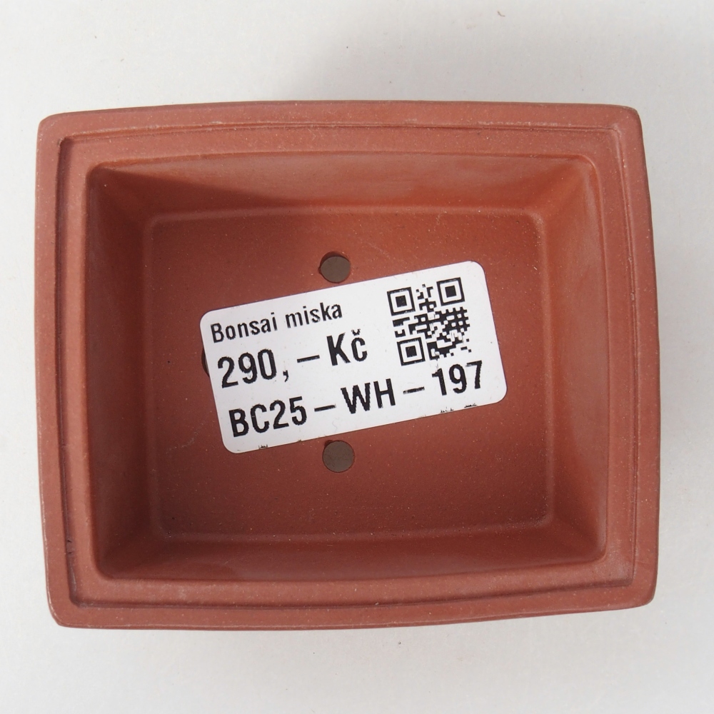 Mini bonsai 7,5 x 6,5 x 3 cm, colore mattone