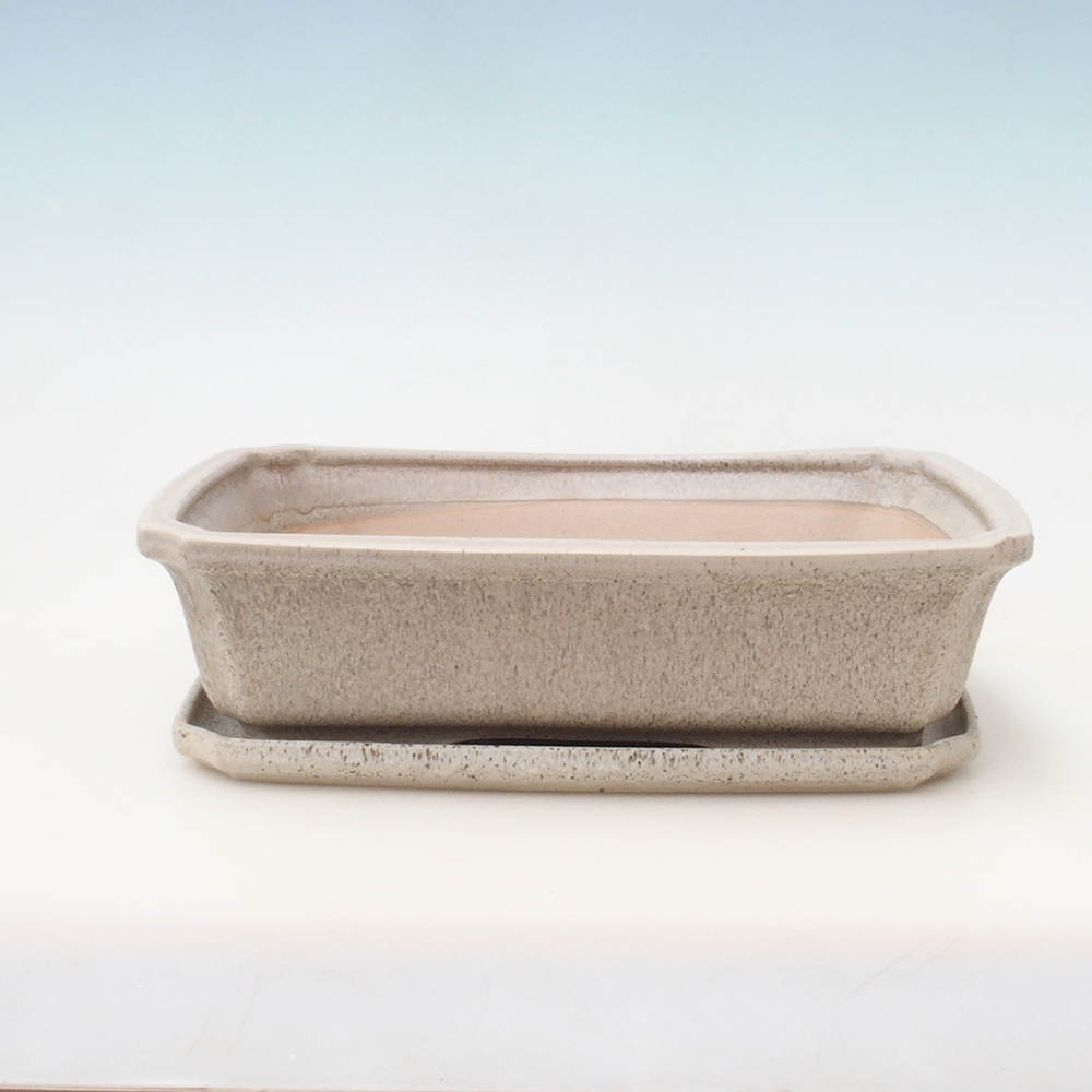 Ciotola bonsai + piattino H07 - 30 x 20,5 x 8 cm - beige