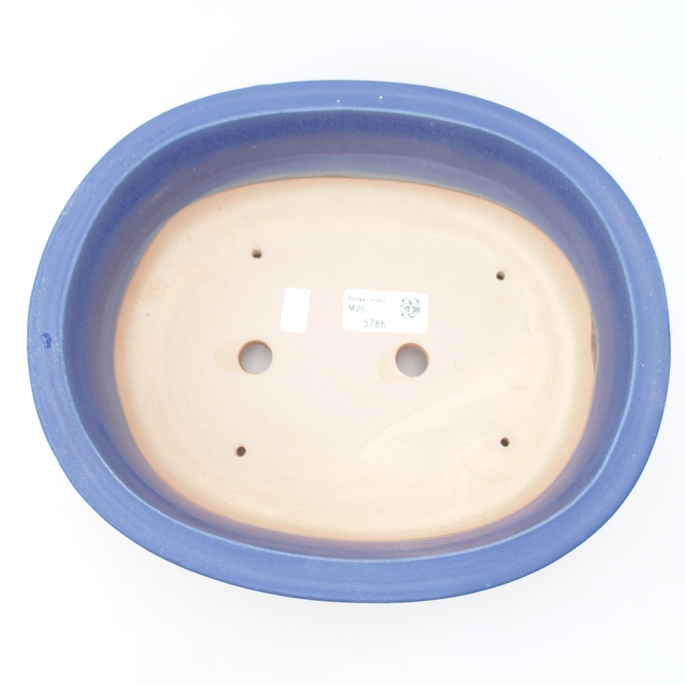 Ciotola bonsai in ceramica 26 x 22 x 8 cm, colore blu