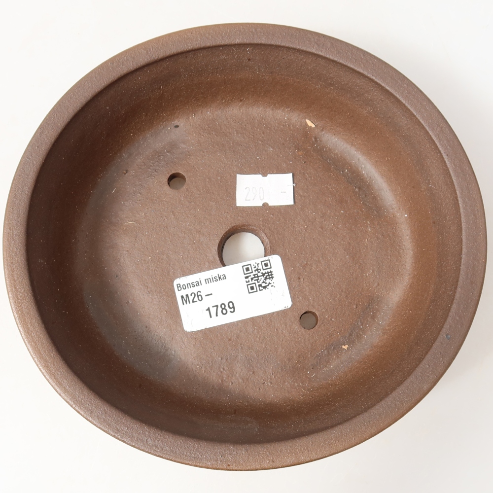 Vaso da bonsai in ceramica 15,5 x 14,5 x 4 cm, colore marrone