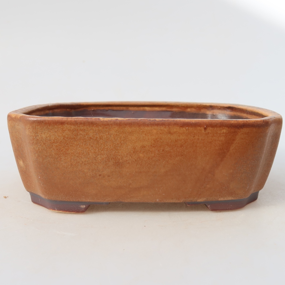 Ciotola bonsai in ceramica 17,5 x 14,5 x 5 cm, marrone