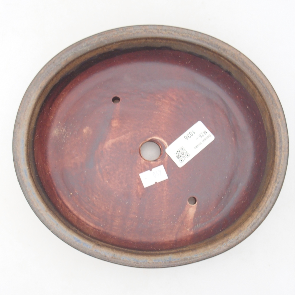 Ciotola per bonsai in ceramica 21 x 19 x 8 cm, marrone