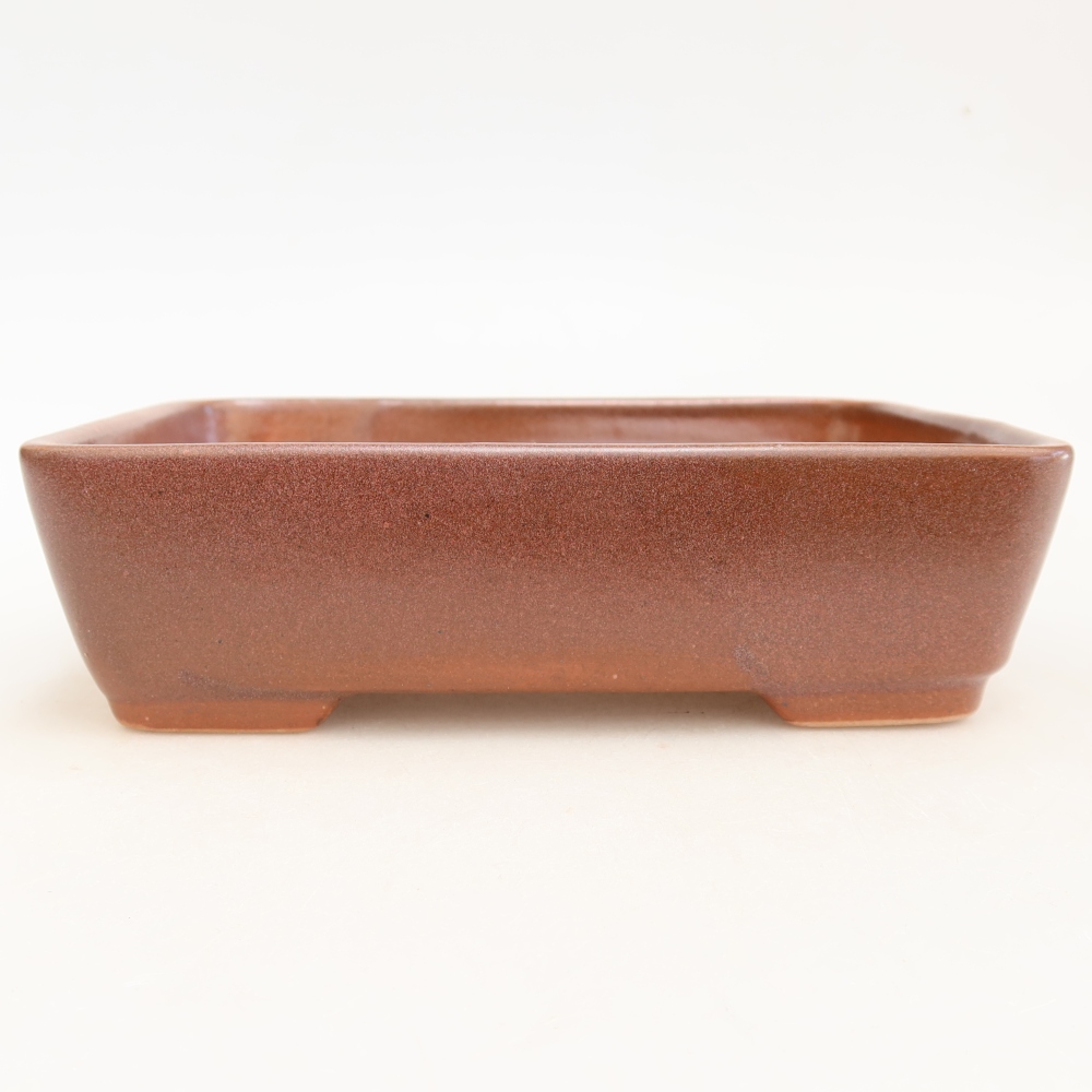 Vaso da bonsai in ceramica 18 x 13 x 5 cm, colore bordeaux