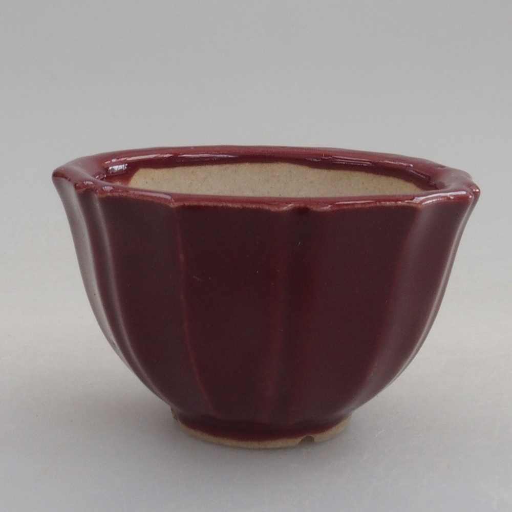 Ciotola per mini bonsai 5 x 5 x 3 cm, bordeaux