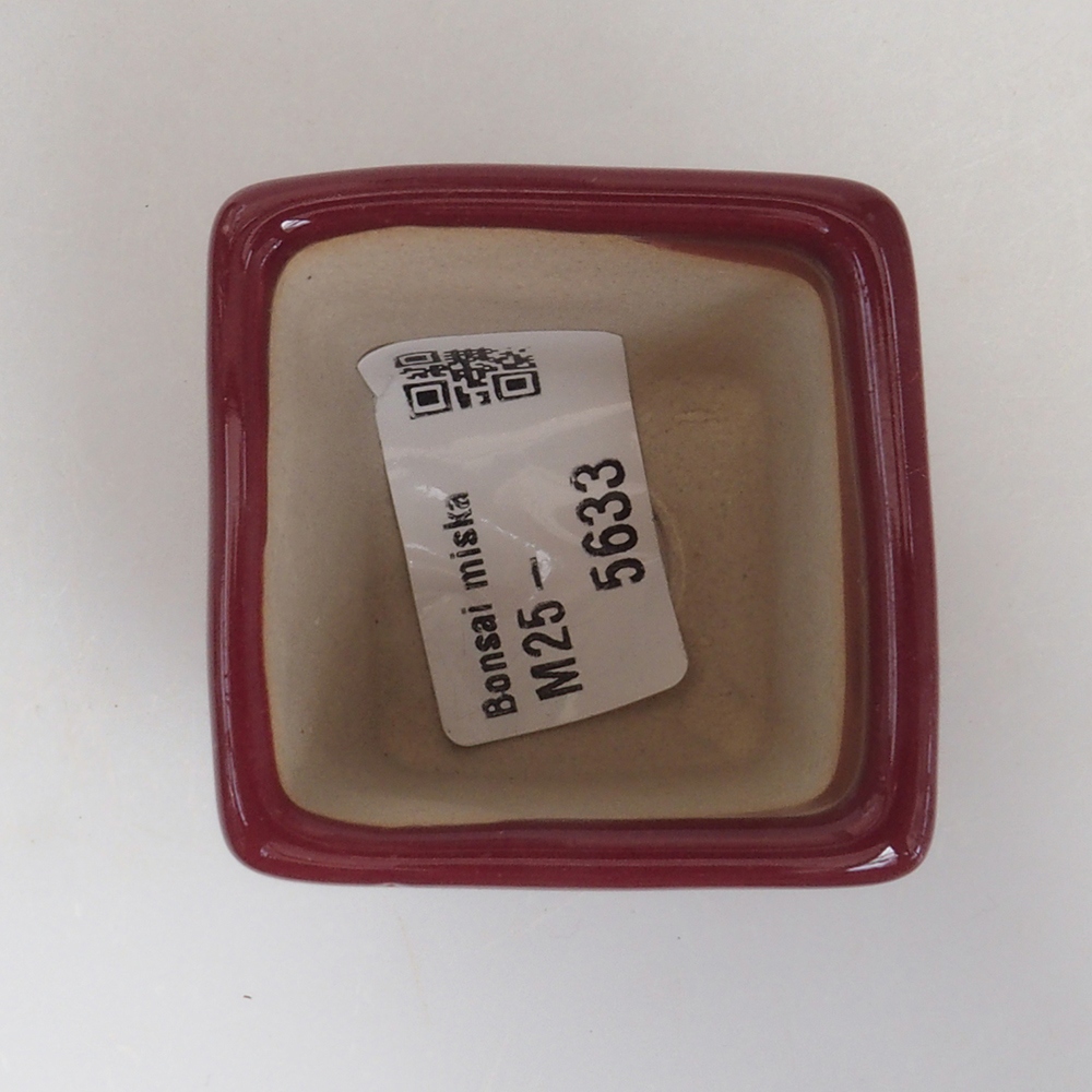 Mini bonsai 4,5 x 4,5 x 4,5 cm, bordeaux