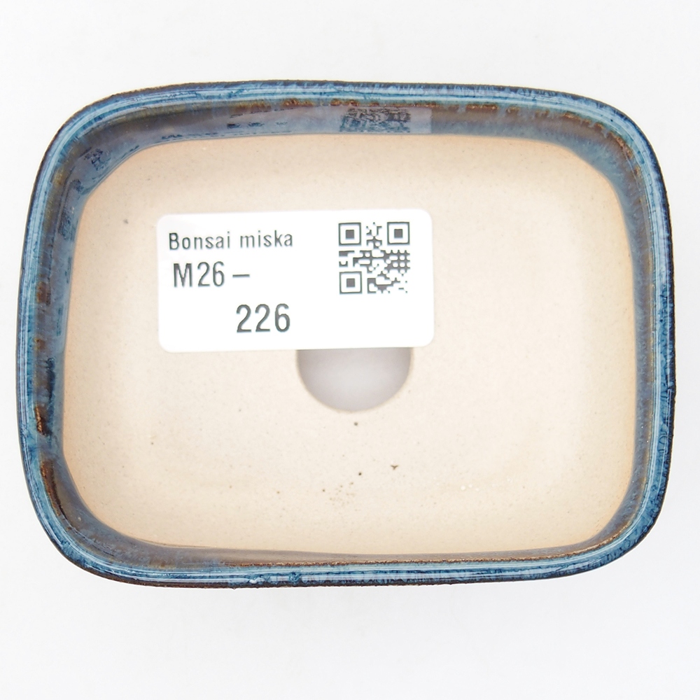 Mini bonsai 8 x 6,5 x 3 cm, colore blu