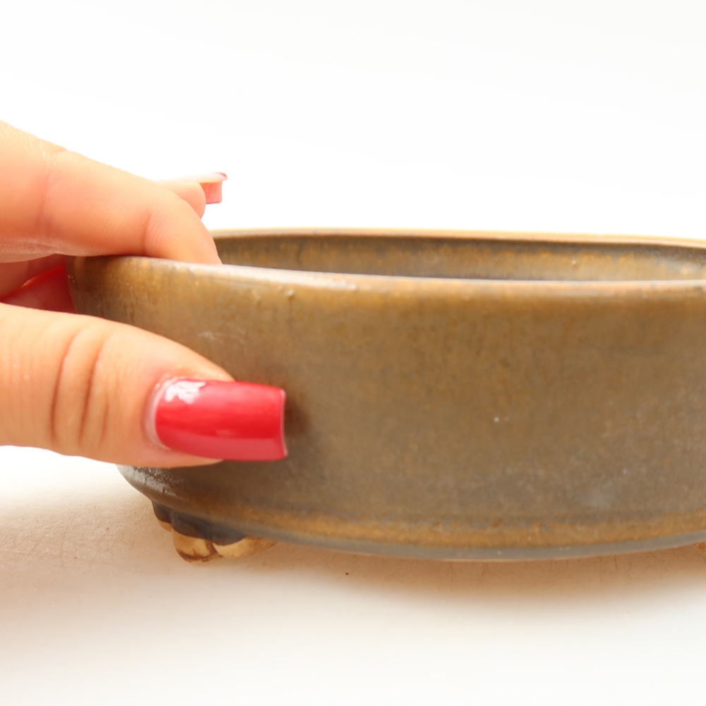 Ciotola per bonsai in ceramica 15,5 x 15,5 x 5 cm, marrone