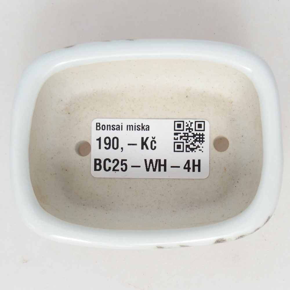 Mini bonsai 8 x 6 x 3 cm, bianco