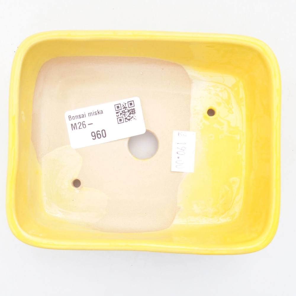 Ciotola bonsai in ceramica 12,5 x 9 x 3,5 cm, giallo