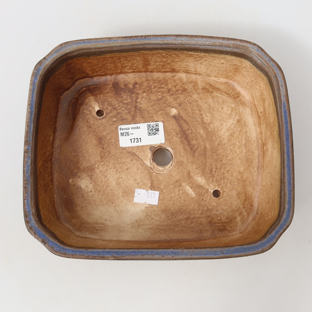 Vaso da bonsai in ceramica 21,5 x 18 x 6 cm, colore blu