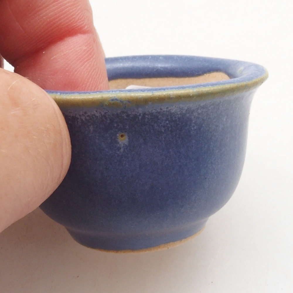 Mini bonsai 4,5 x 4,5 x 3 cm, colore blu