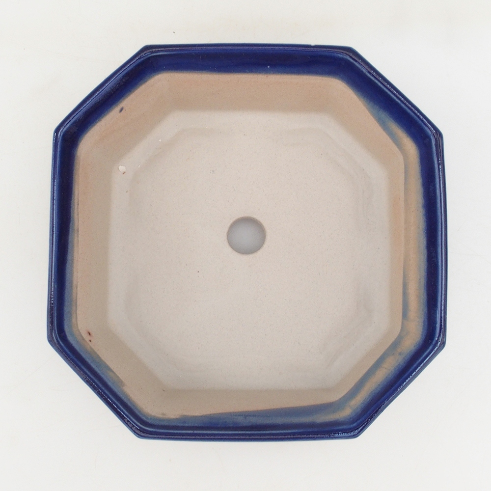 Ciotola bonsai H14 - 17,5 x 17,5 x 6 - blu