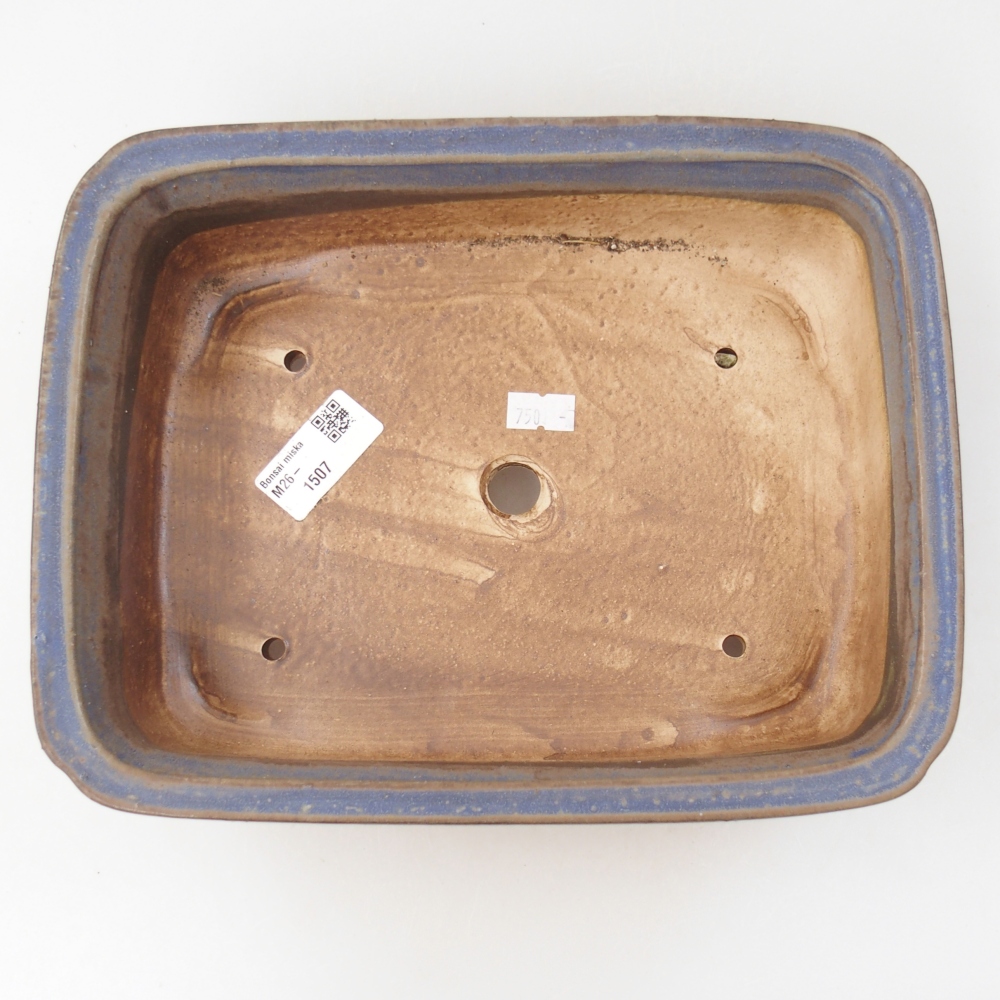 Ciotola bonsai in ceramica 25 x 20 x 7 cm, colore blu