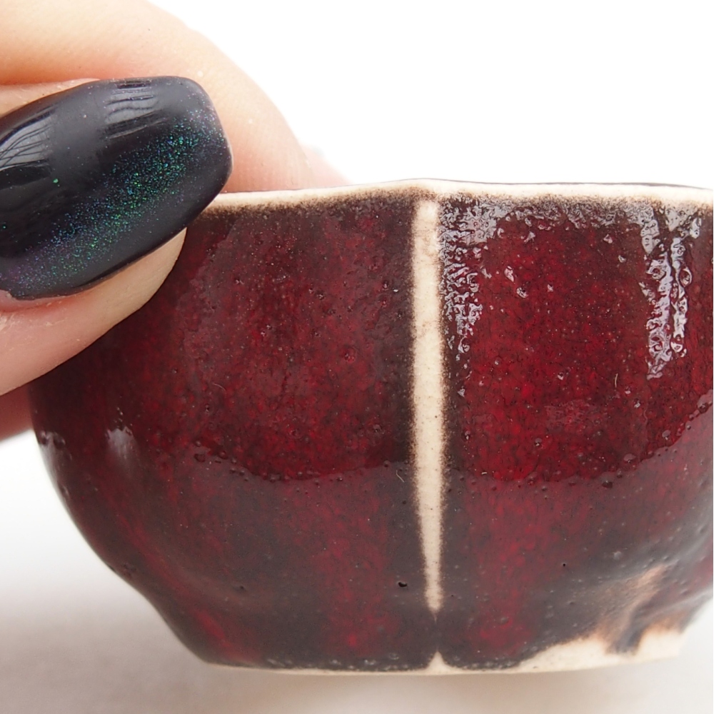 Mini bonsai 6 x 6 x 3 cm, colore rosso