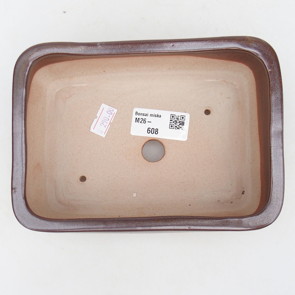 Ciotola bonsai in ceramica 17 x 12 x 5,5 cm, marrone