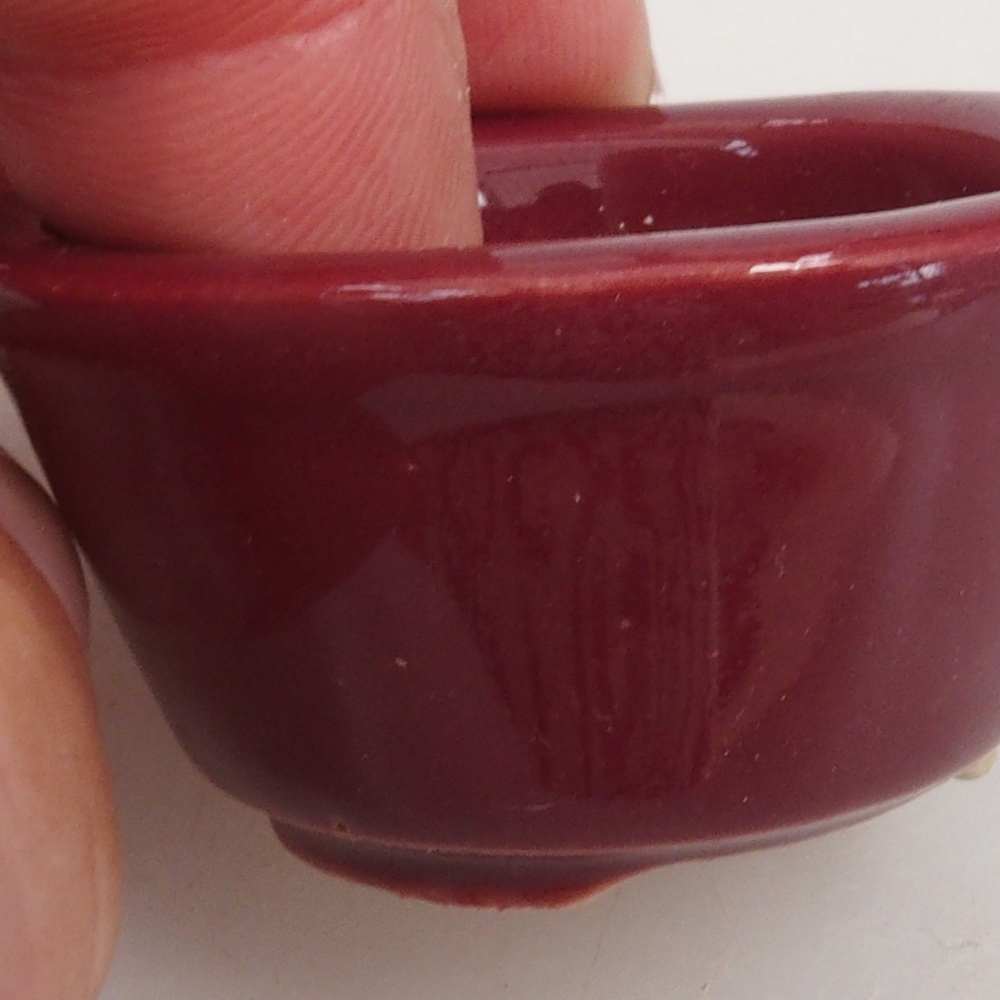 Ciotola per mini bonsai 4 x 4 x 2 cm, bordeaux