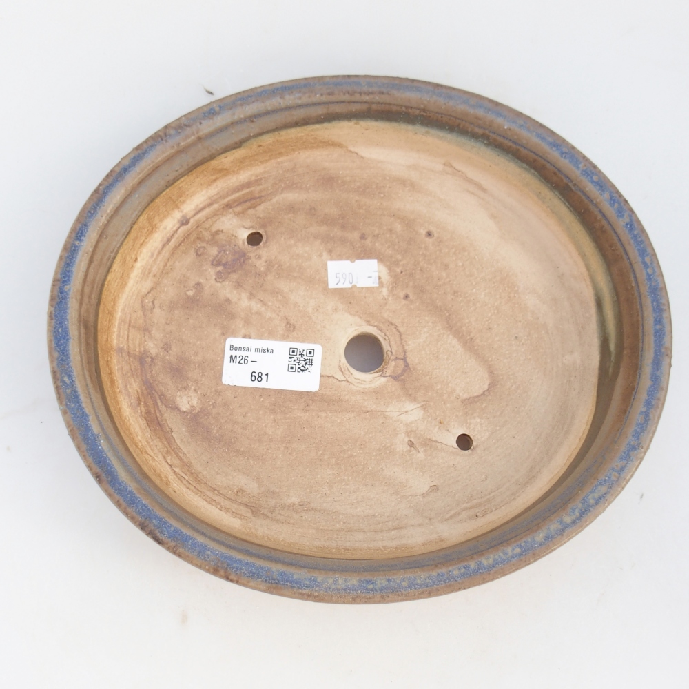 Ciotola bonsai in ceramica 24 x 21 x 5 cm, colore blu