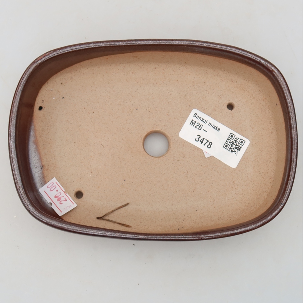 Vaso da bonsai in ceramica 16 x 11 x 3,5 cm, colore marrone