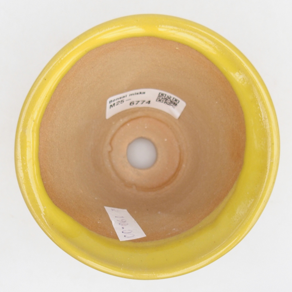 Ciotola bonsai in ceramica 10,5 x 10,5 x 7 cm, giallo