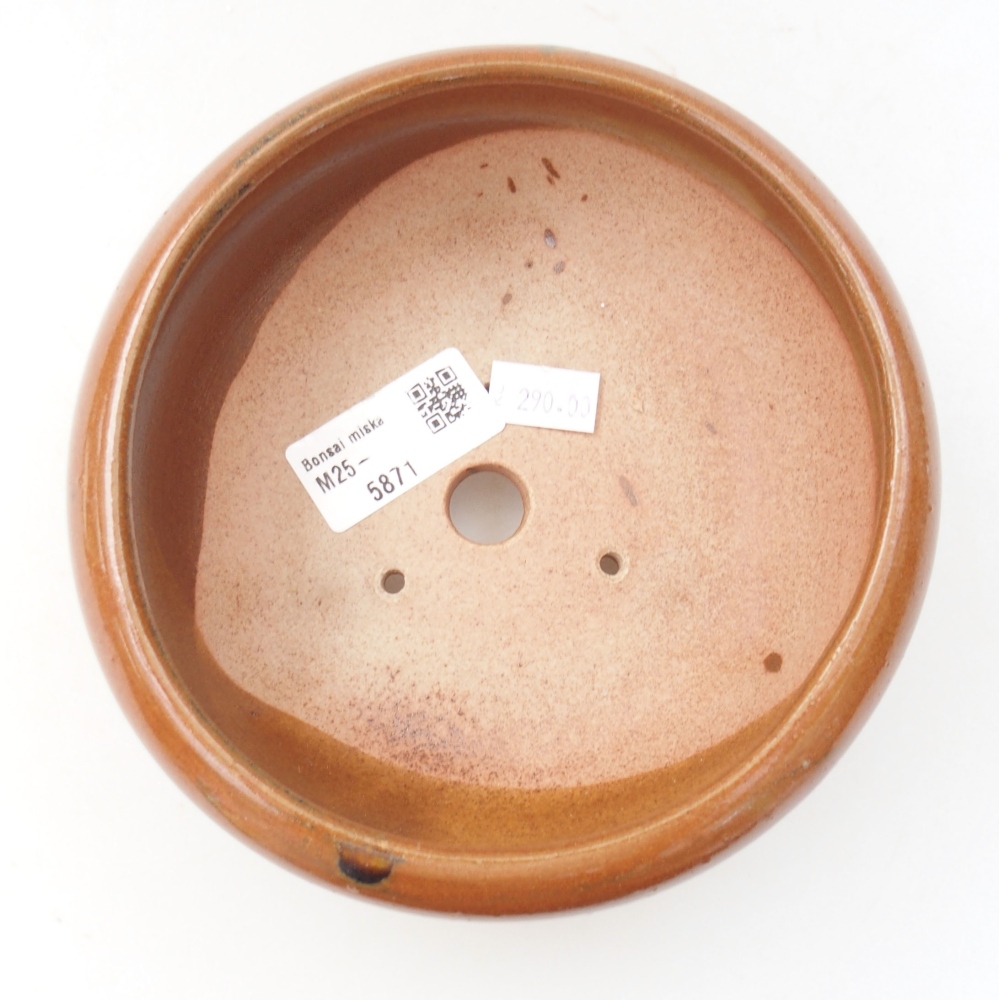 Ciotola bonsai in ceramica 22 x 17 x 5 cm, verde