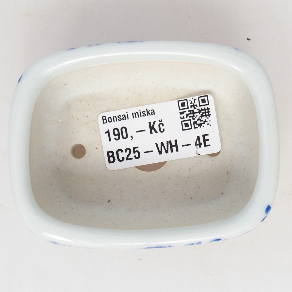 Mini bonsai 8 x 6 x 3 cm, bianco