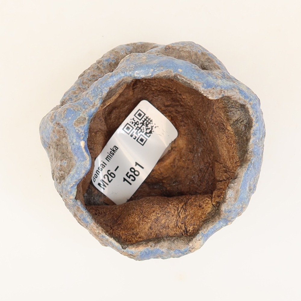Conchiglia in ceramica  6 x 5,5 x 6 cm, colore blu