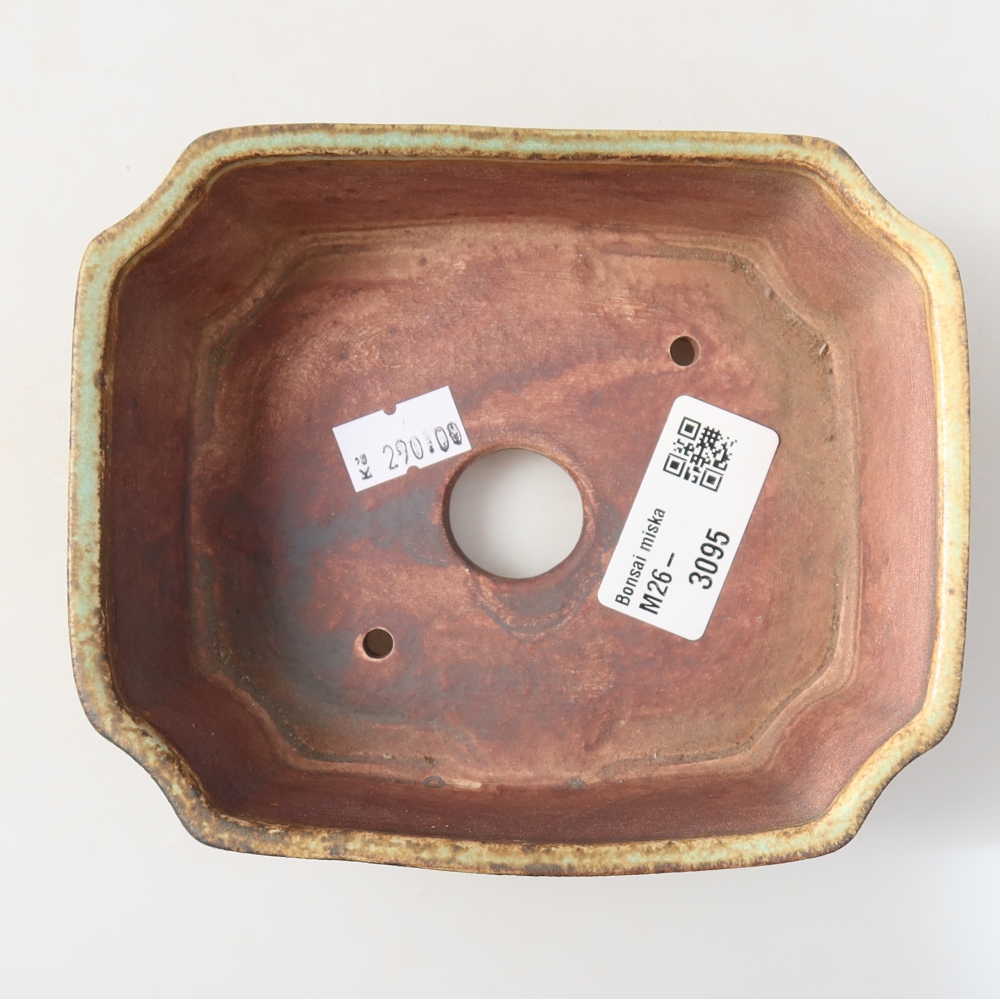 Vaso in ceramica per bonsai 14 x 11,5 x 4,5 cm, colore verde