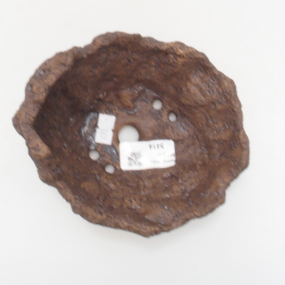 Conchiglia in ceramica 13 x 11 x 12 cm , colore marrone