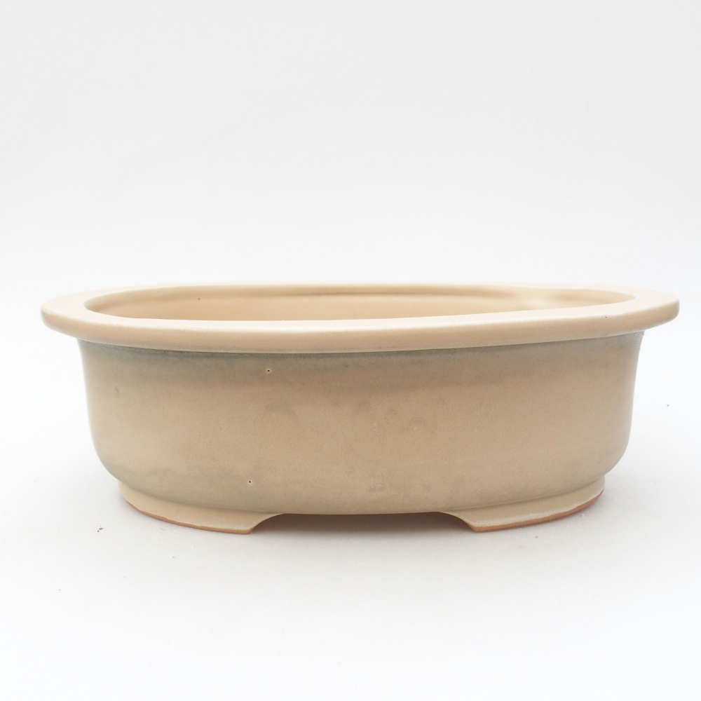 Ciotola bonsai in ceramica 26 x 22 x 8 cm, colore beige