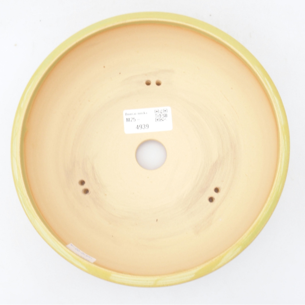 Ciotola per bonsai in ceramica 20 x 20 x 5,5 cm, verde