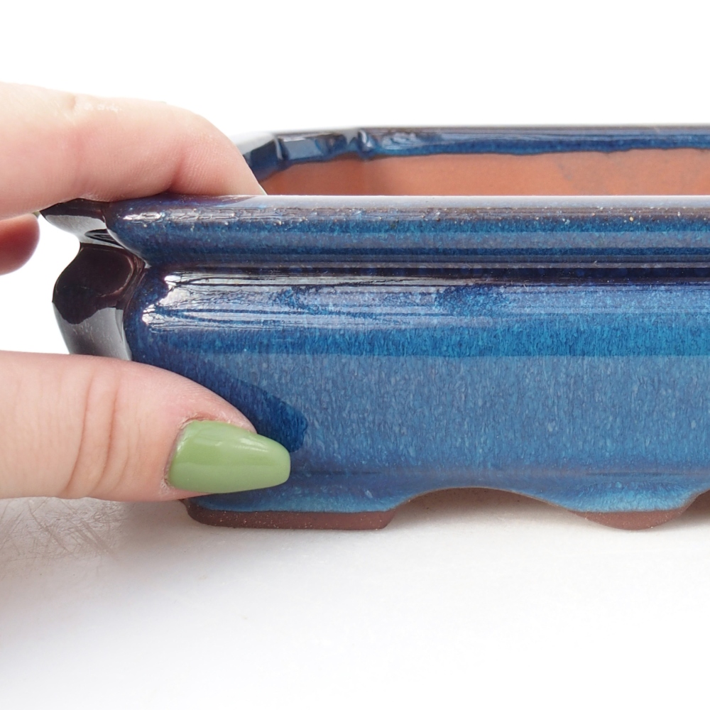 Ciotola 21,5 x 26,5 x 4 cm colore blu