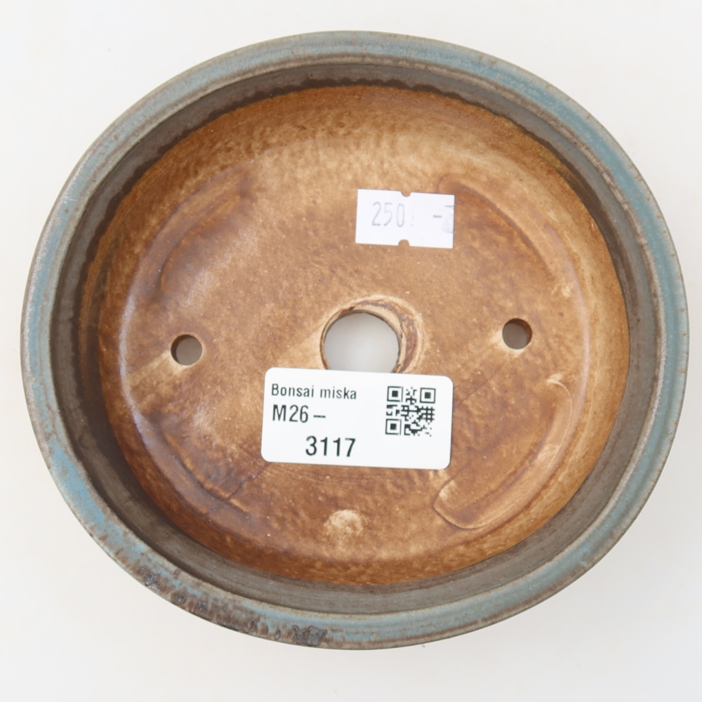 Vaso da bonsai in ceramica 12,5 x 11,5 x 3,5 cm, colore blu