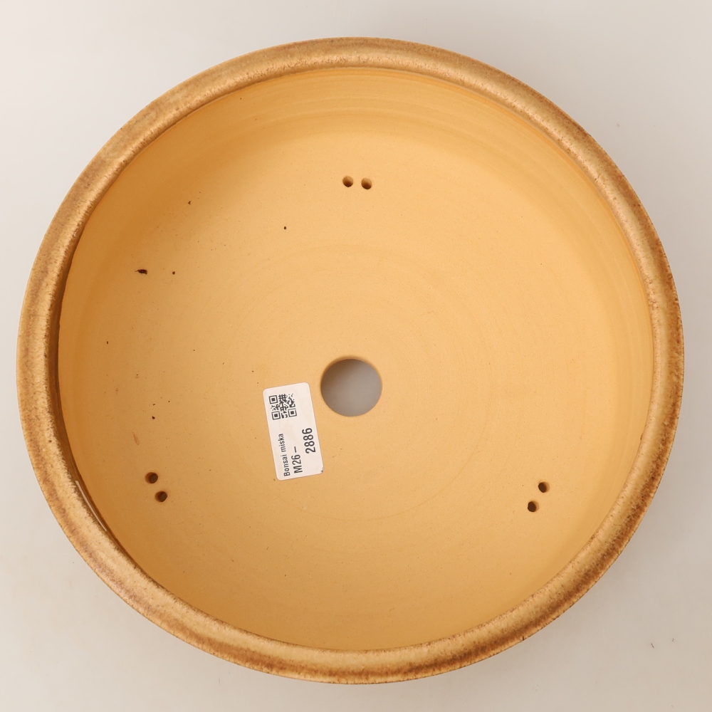 Vaso da bonsai in ceramica 24 x 24 x 9 cm, colore marrone