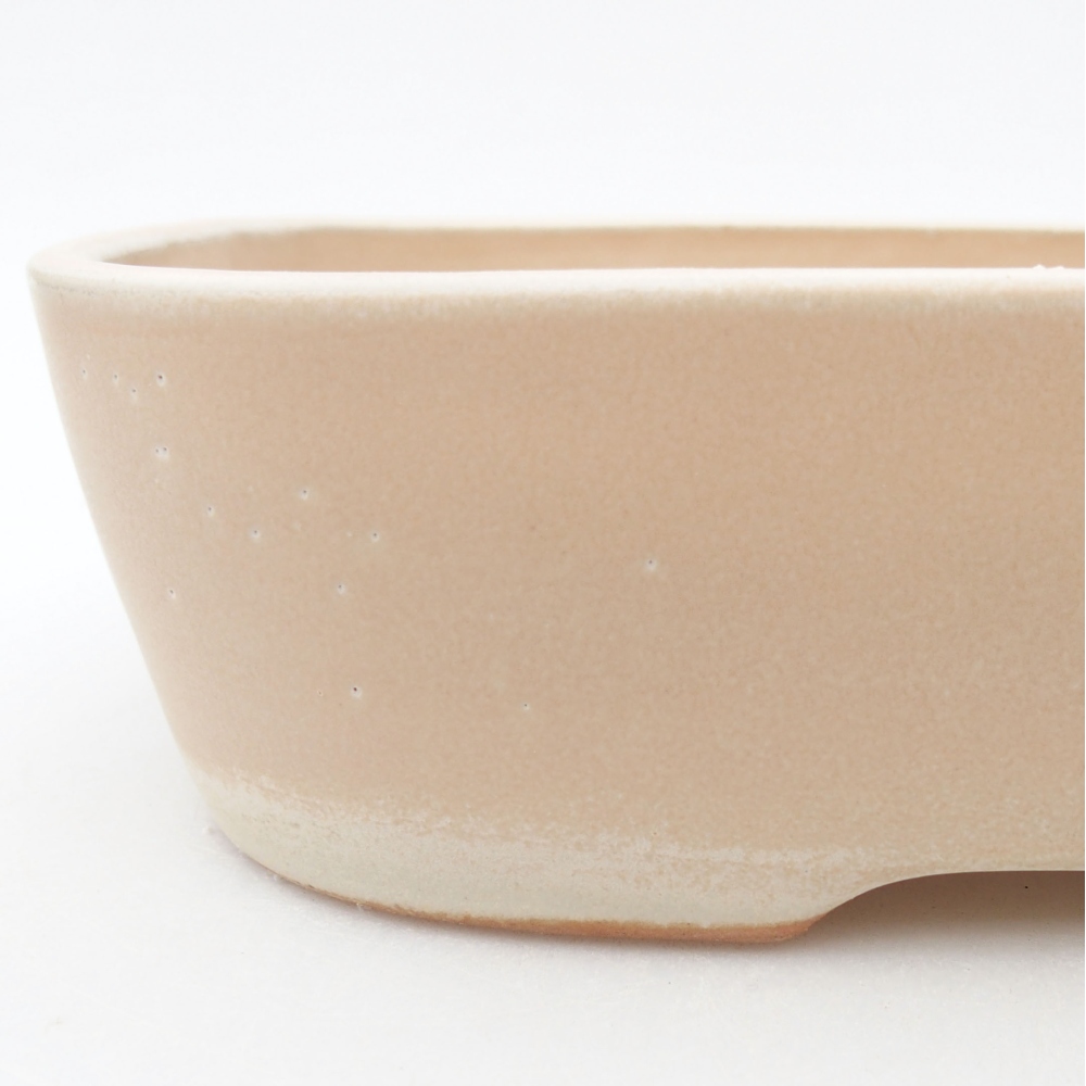 Ciotola bonsai in ceramica 23 x 17,5 x 5,5 cm, colore beige