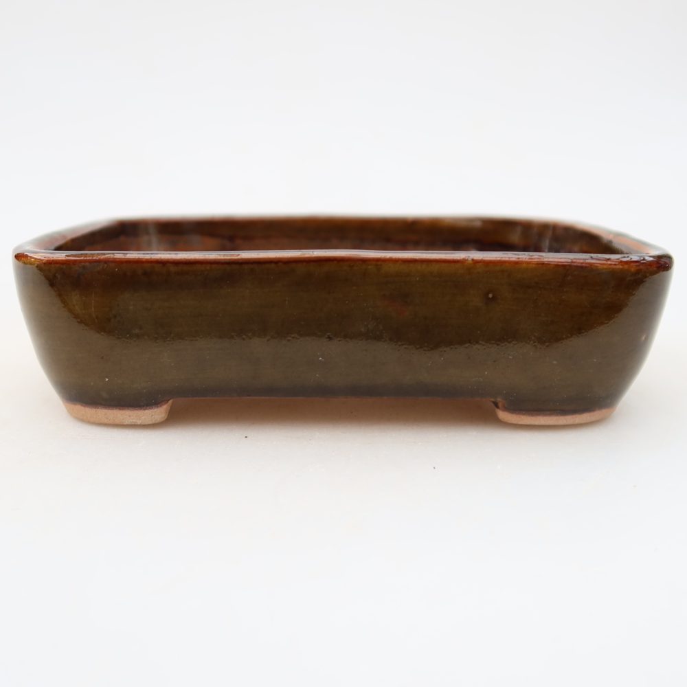 Vaso in ceramica per bonsai 12,5 x 9 x 3,5 cm, colore marrone
