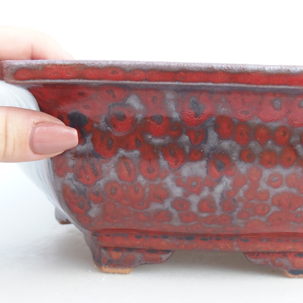 Ciotola per bonsai in ceramica 24,5 x 20 x 4 cm, colore rosso