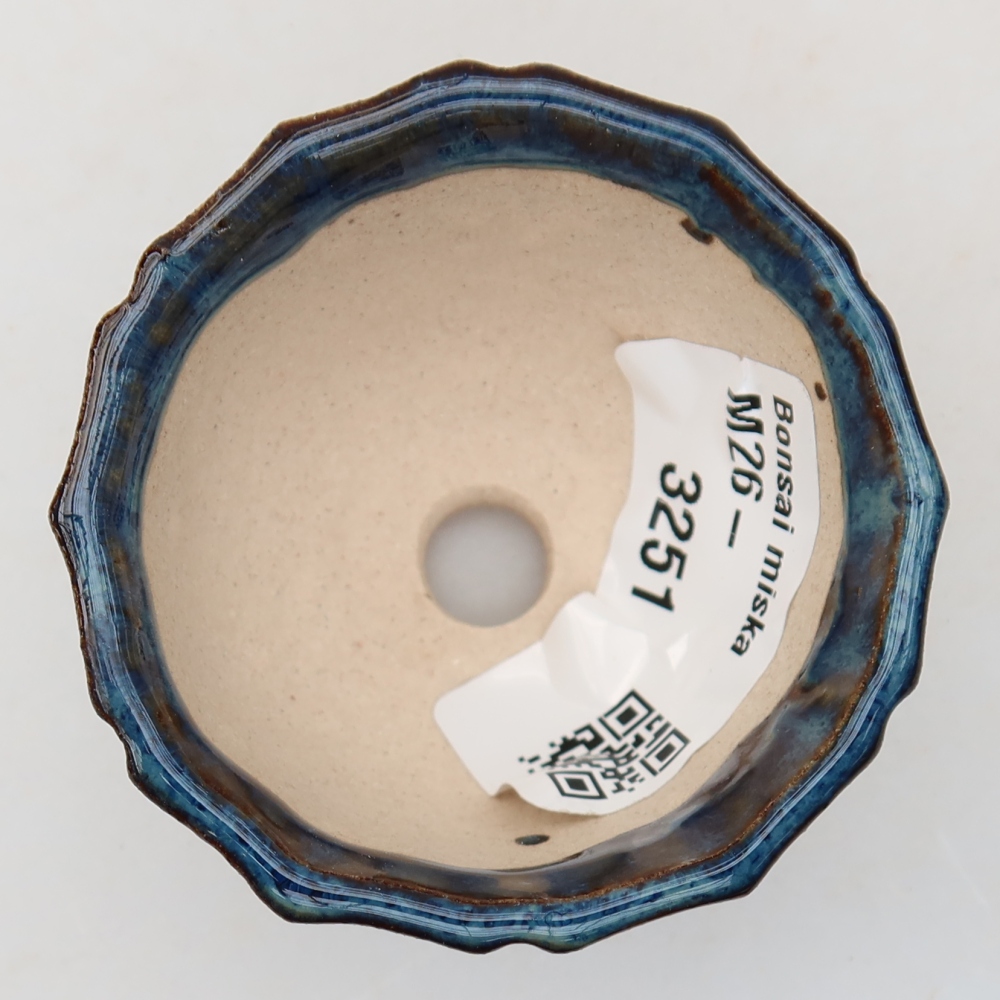 Vaso in ceramica per bonsai 5,5 x 5,5 x 3,5 cm, colore blu
