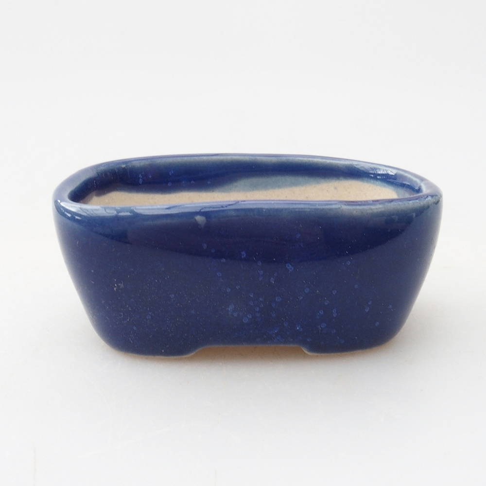 Mini bonsai 5,5 x 4 x 2,5 cm, colore blu