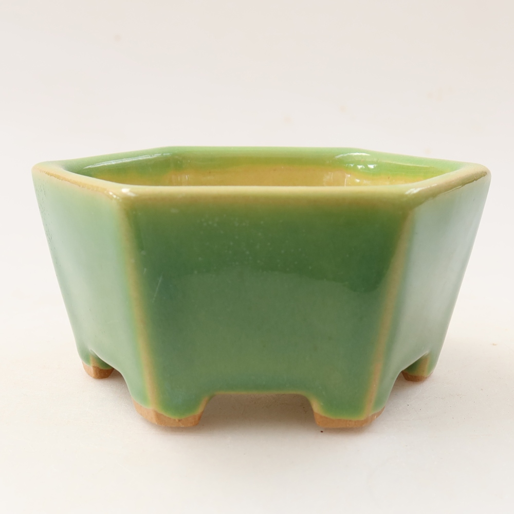 Ciotola per bonsai in ceramica 10 x 9 x 5 cm, verde