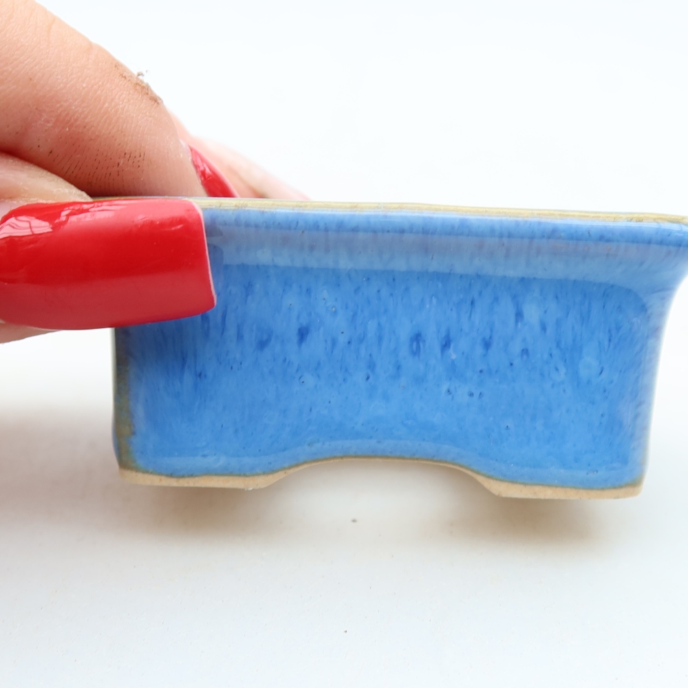 Ciotola per bonsai in ceramica 6 x 4,5 x 2,5 cm, colore blu