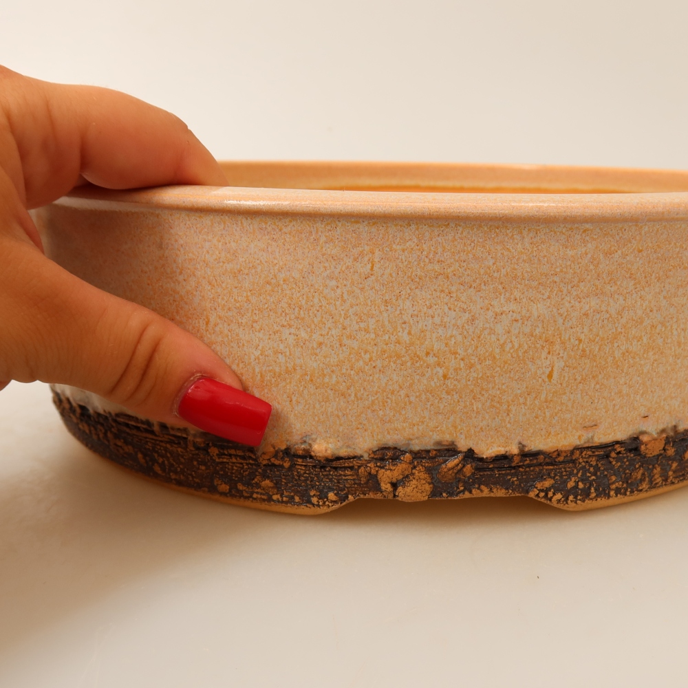 Ciotola per bonsai in ceramica 24,5 x 24,5 x 7 cm, colore beige