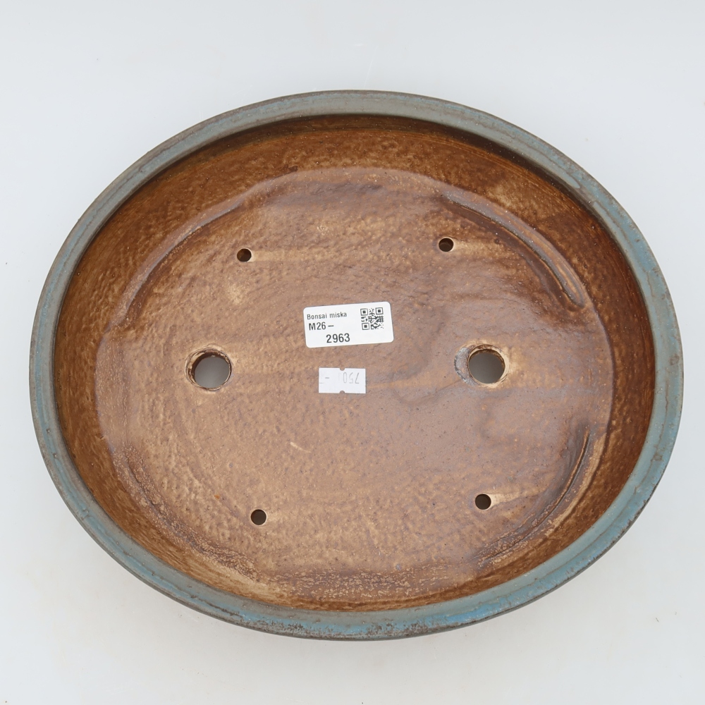 Vaso in ceramica per bonsai 27 x 24 x 5,5 cm, colore blu