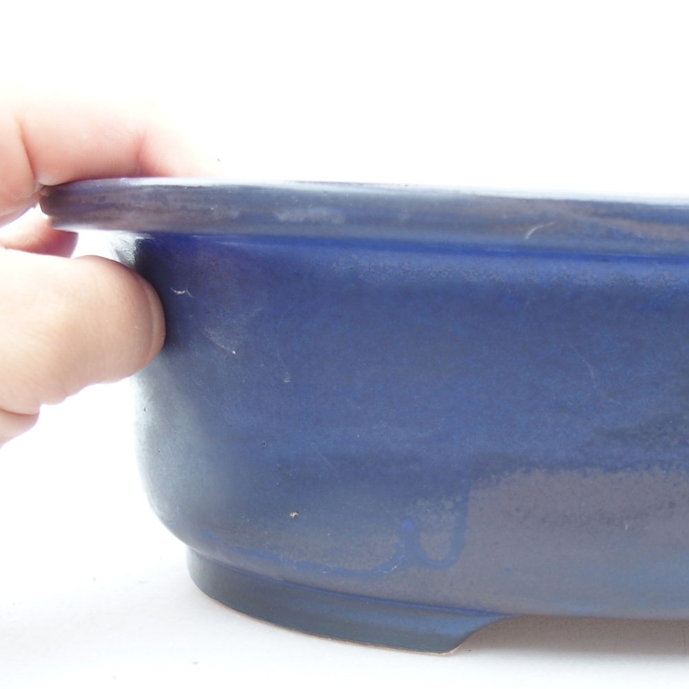Ciotola bonsai in ceramica 26 x 22 x 8 cm, colore blu